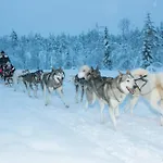 Snow Village 3*