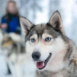 Snow Village Отель Юллясярви