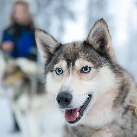 Lapland Snowvillage Hotel Ylläsjärvi