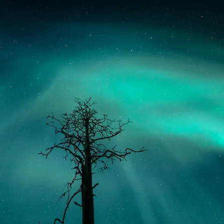 فندق Lapland Snow Village 3*