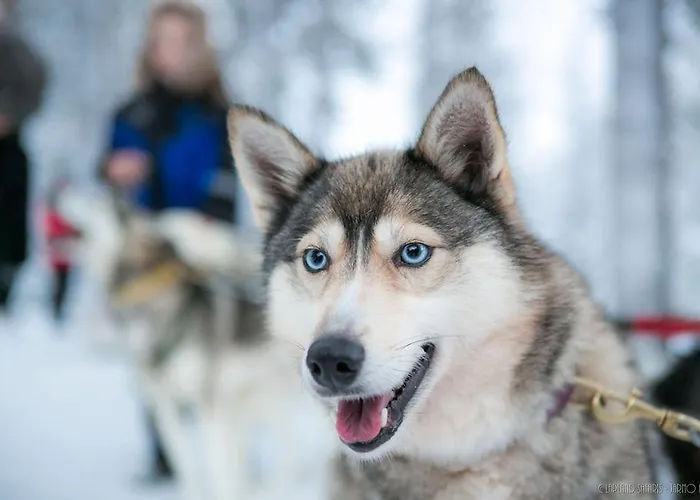 Lapland Snow Village Ξενοδοχείο Ylläsjärvi